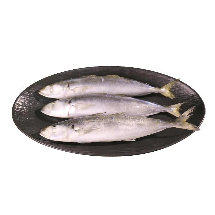Iasc scad -scad reoite reoite