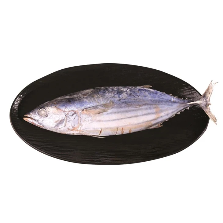 Tuinníní Skipjack Reoite Saincheaptha