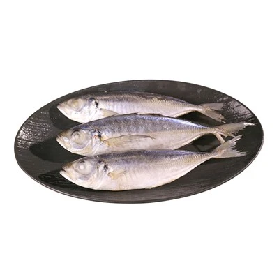 Iasc Carapau Reoite
