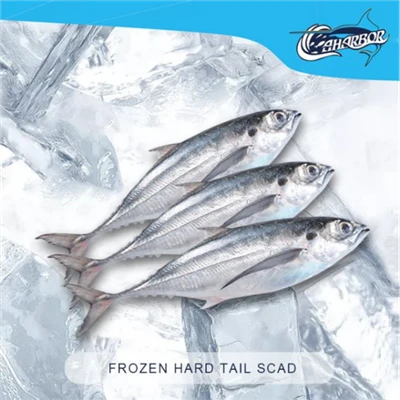 Torpedo Reoite Trevally